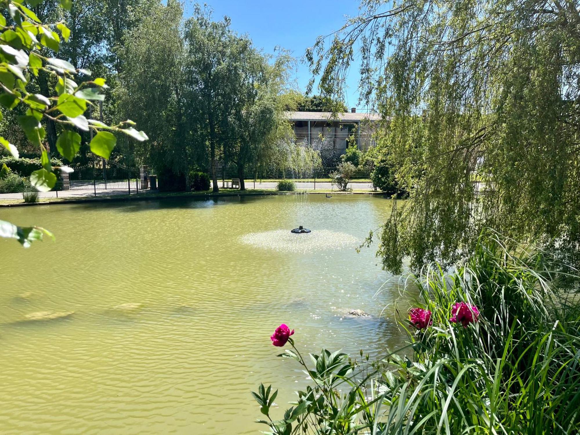 Samer L'Etang D'Une Pause מראה חיצוני תמונה